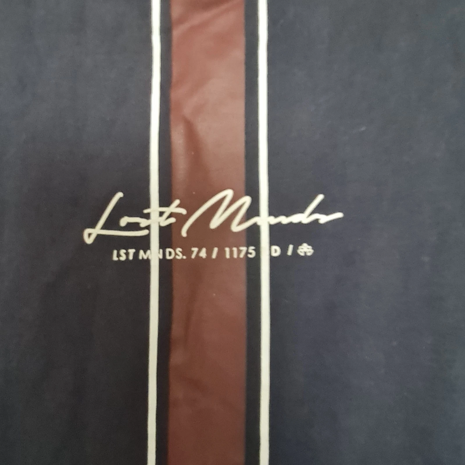 Lost Minds Men’s Vertical Stripe Graphic T-Shirt Navy Brown M - Image 2